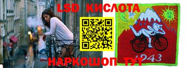 СК Абакан