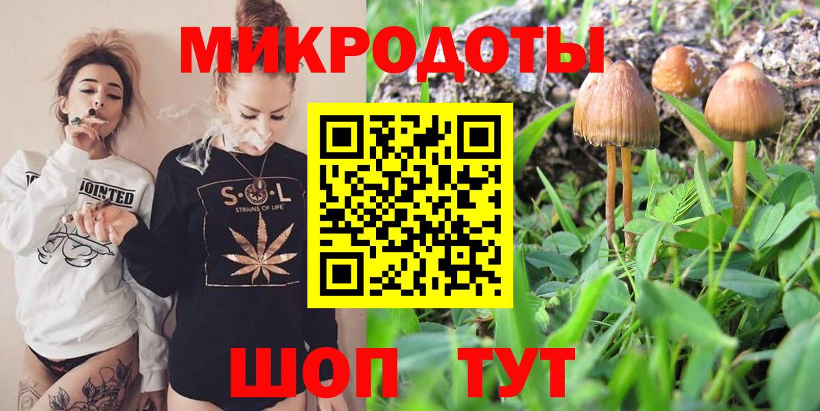 Псилоцибиновые грибы Psilocybine cubensis Азнакаево