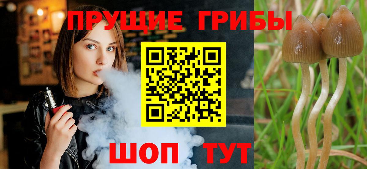 Псилоцибиновые грибы ЛСД  Вход с VPN  Азнакаево 